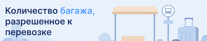 Intercars рассказывает о количестве багажа, которое разрешено к перевозке на автобусах