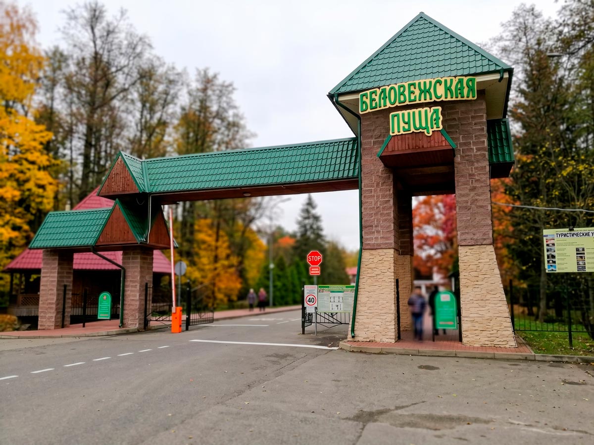 Беловежская пуща остановка