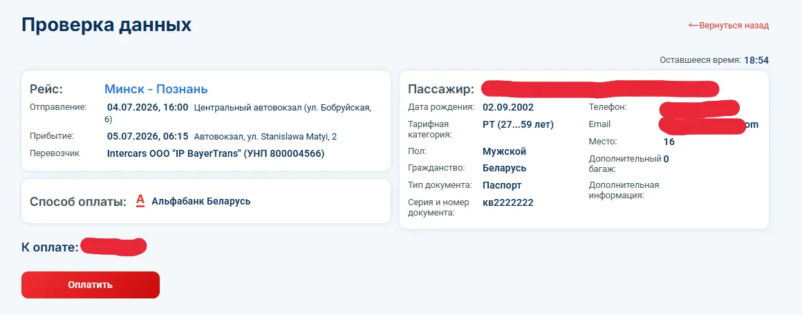 Проверка данных перед оплатой билета